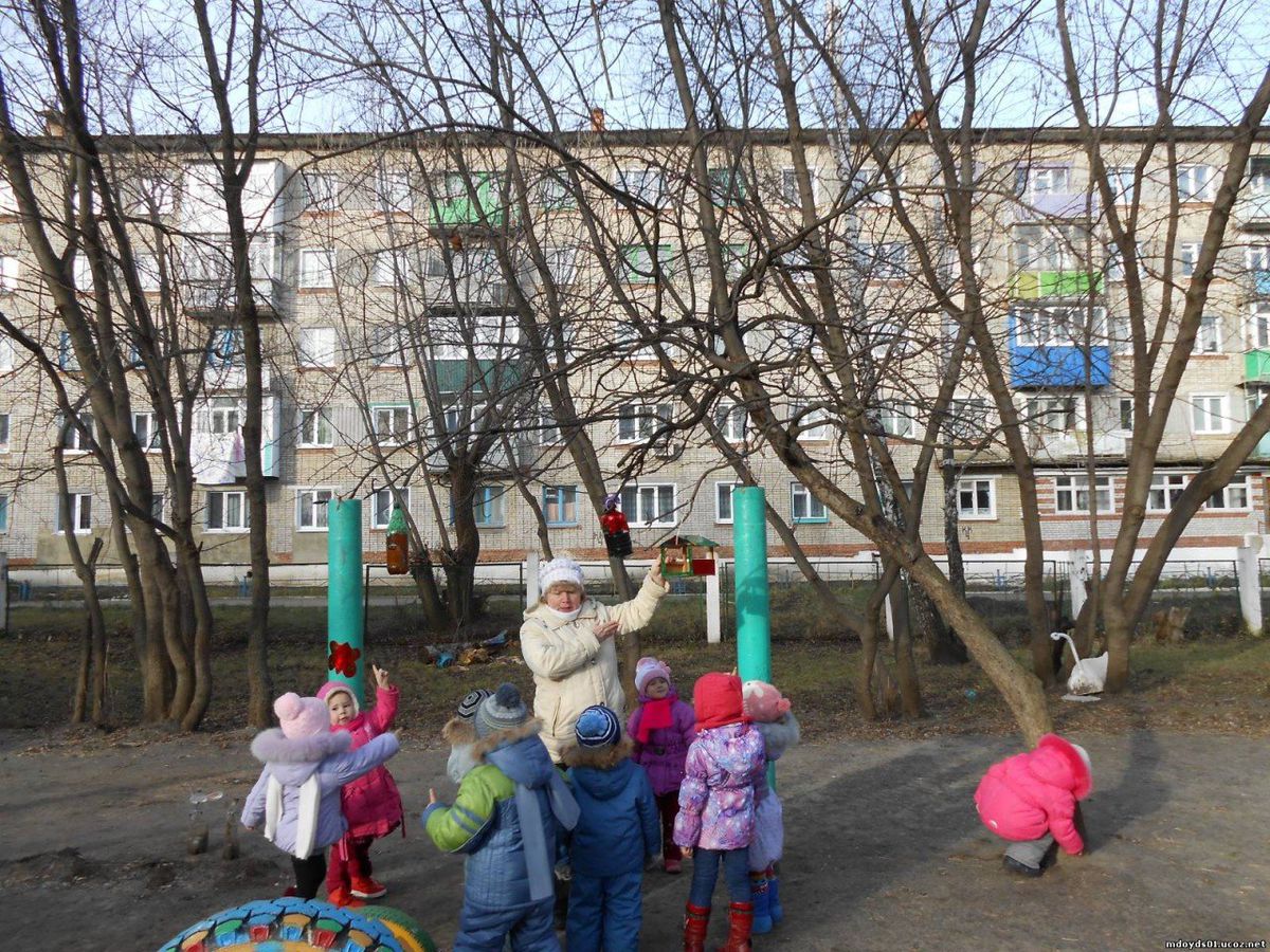 фото акция Птицы в городе средняя гр Солнышко